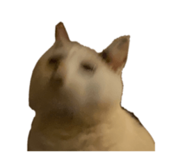 604760369