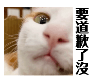 604819734