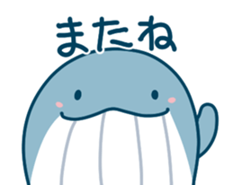604855437