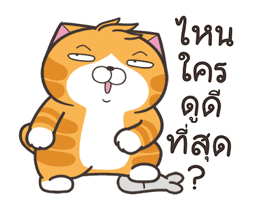 เหมียวซ่า : เสียงแห่งความสุข รูปที่ 9