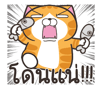 เหมียวซ่า : เสียงแห่งความสุข รูปที่ 23
