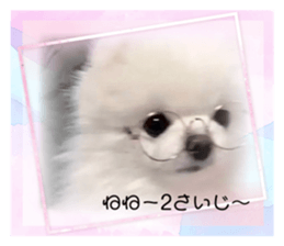 604939423
