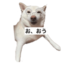 604939590