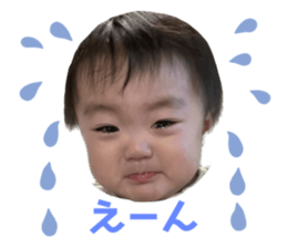 604959520