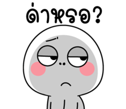 604973262