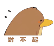 604974481