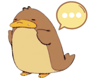 604974482