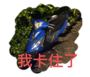 604980206
