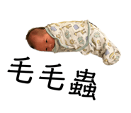 605000658