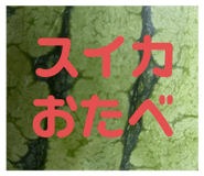605010666