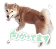 605019027
