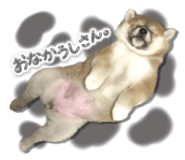 605019061
