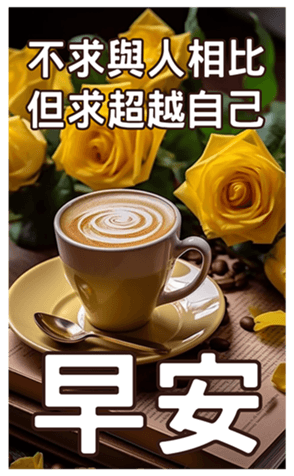 605020081