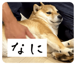 605026136