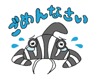 605033897