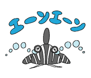 605033899