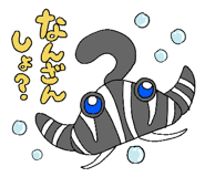 605033900
