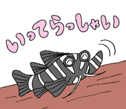 605033902