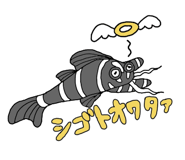 605033903