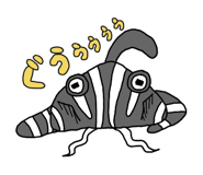 605033905