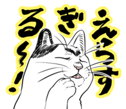 605034160