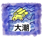 605092641