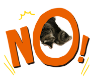 605094510
