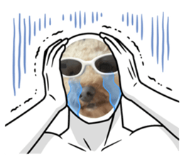 605095532