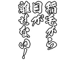605103875