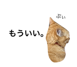 60511735