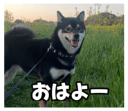 605125038