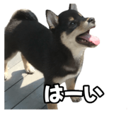 605125041