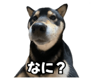 605125054