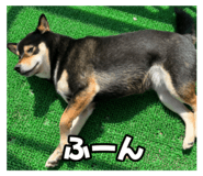 605125057