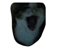 605205360