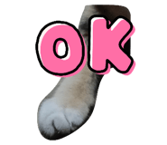 605205370