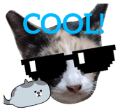 605205373