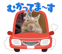 605223091
