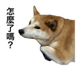 605236588
