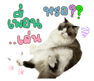 605308212