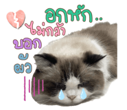 605308213