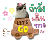 605308221