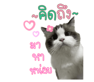 605308228