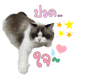 605308234