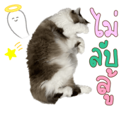 605308236
