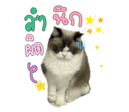 605308242