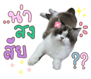 605308244