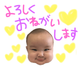 60533535