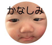 605359046