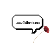 605370945